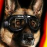 K9MAX
